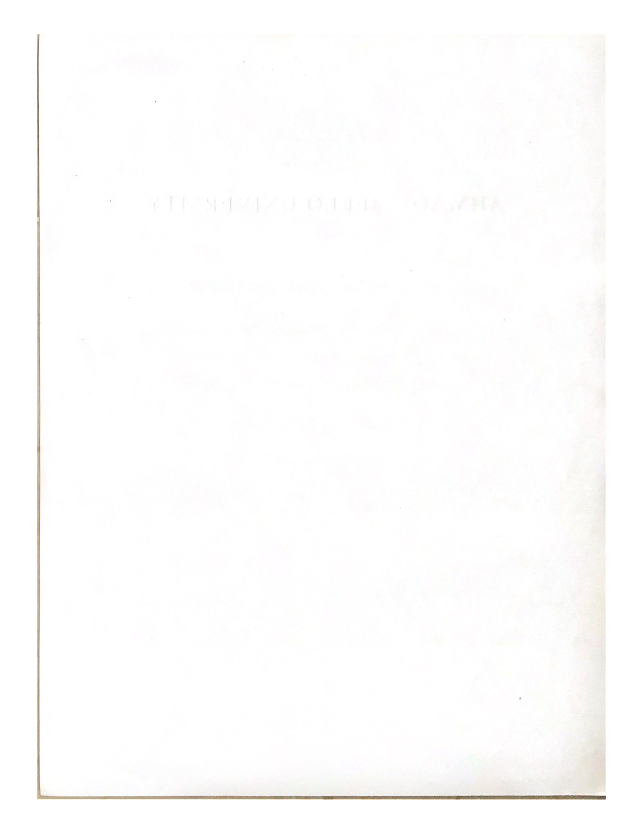 Document Page 2