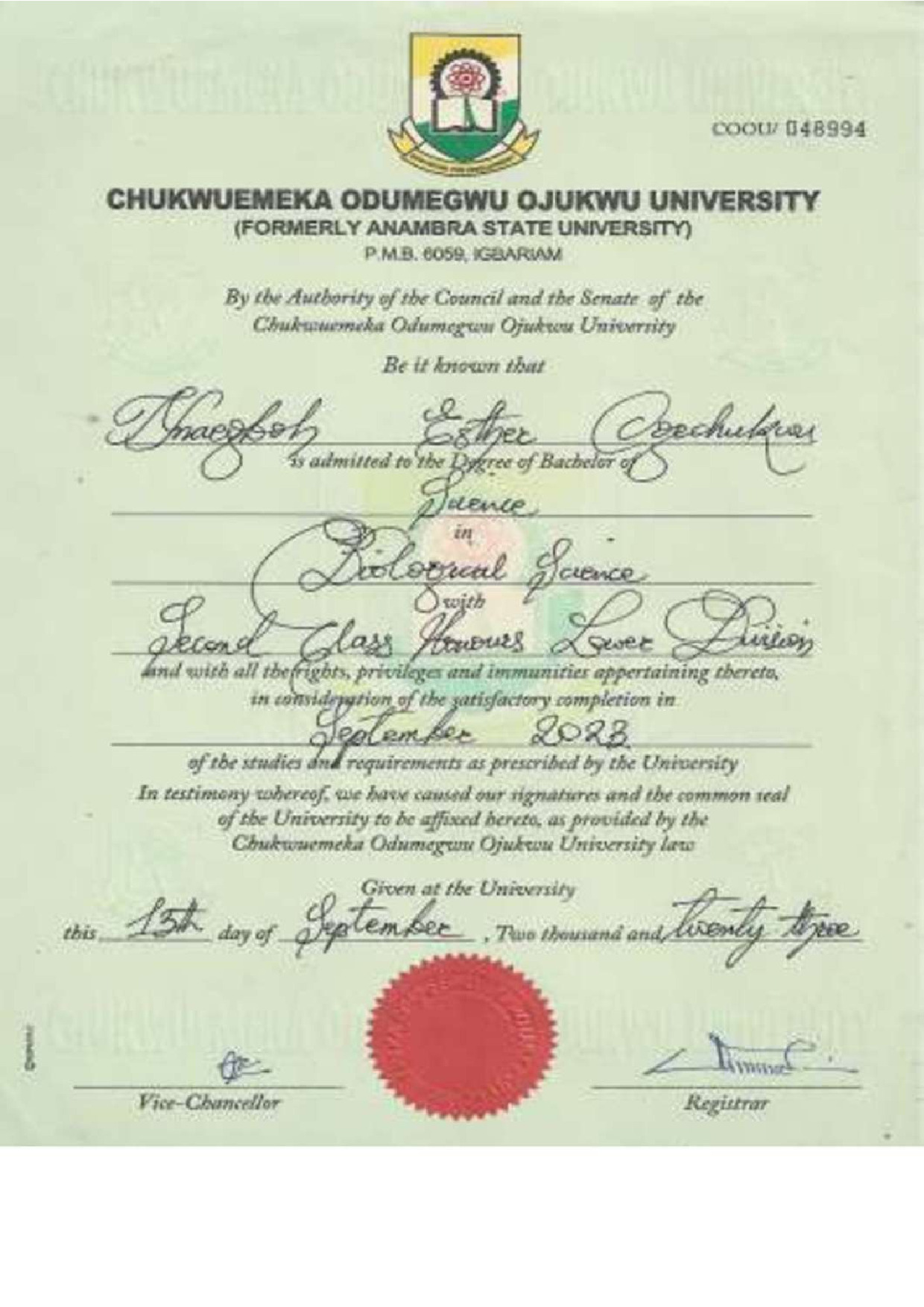 Document Page 1