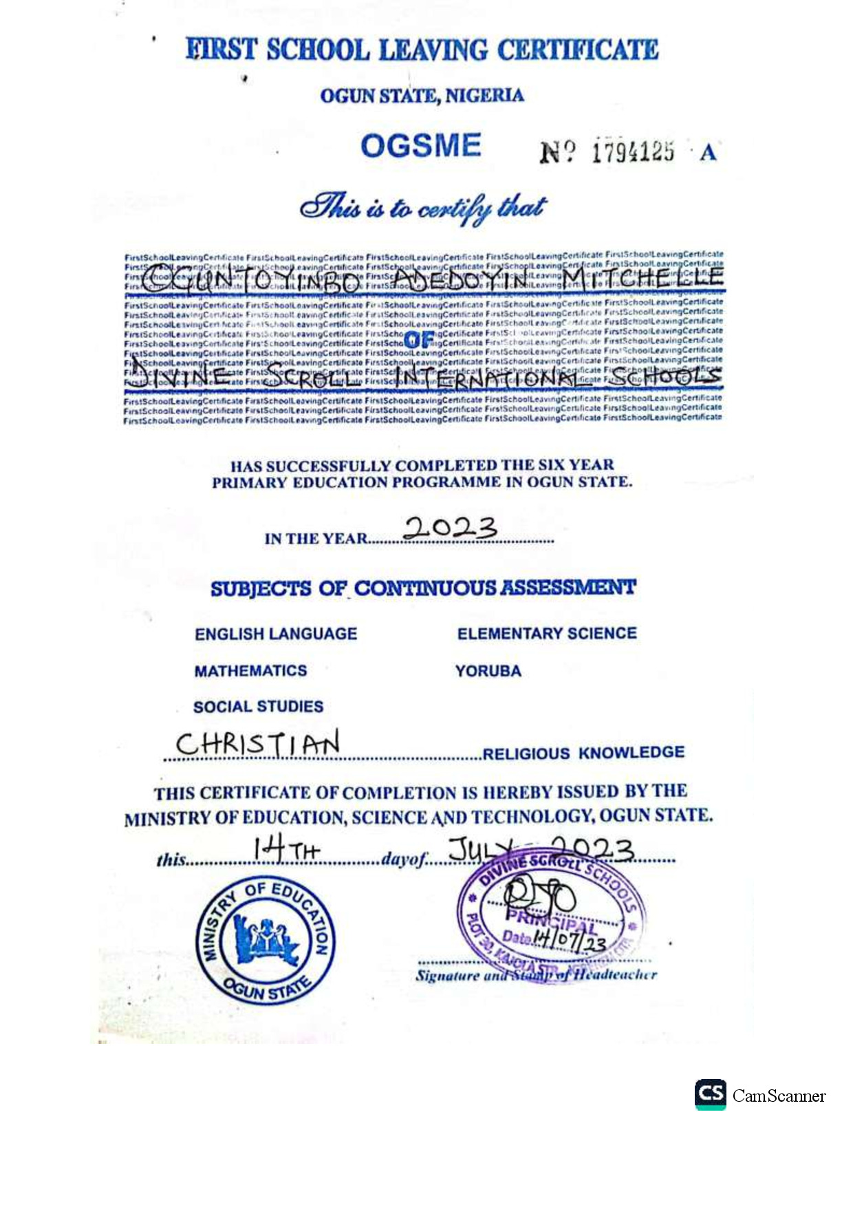 Document Page 1